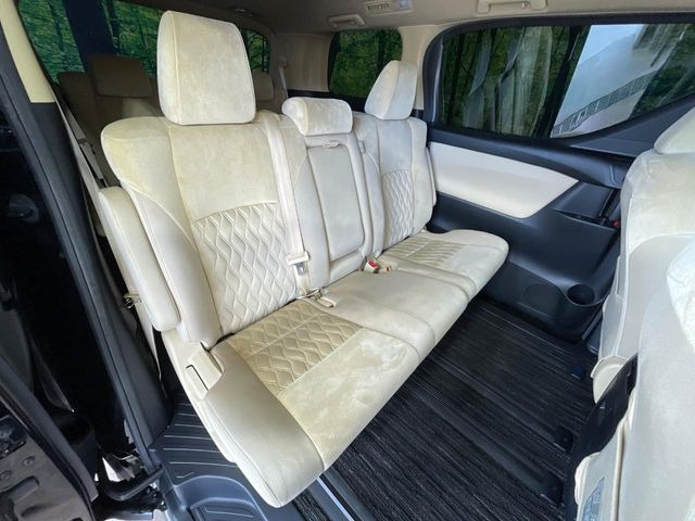 �㕔���Ȃ��C�ɂȂ�悤�ȃL�Y�E�����ւ��蓙�A�傫�ȃ_���[�W�͂Ȃ��A�ǍD�ȏ�Ԃł��B