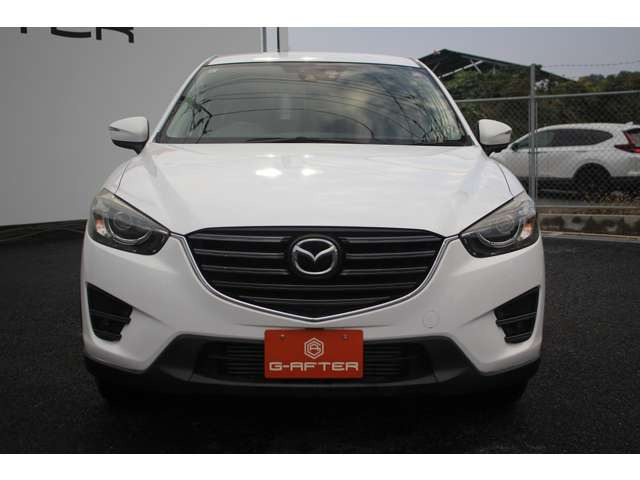 �����X�o���Ȃ����q�l�A���Ǝҗl�ւ̔̔��͂��f�肳���Ă��������܂��B�Ԍ������ԗ��̏ꍇ�́A�Ԍ����擾�������x�������z�ŕ\�����Ă���܂��B