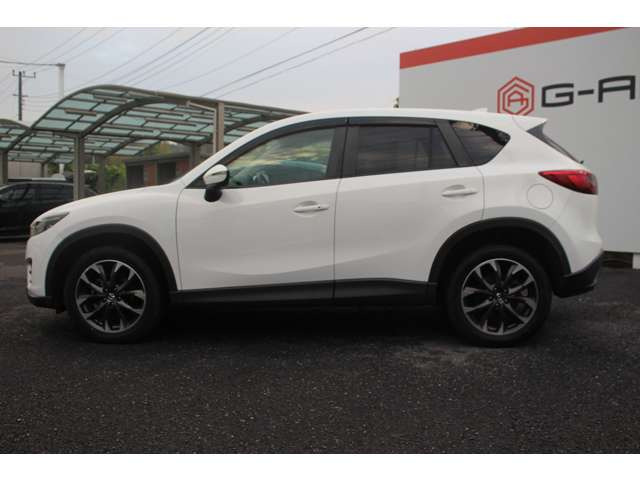 �����X�o���Ȃ����q�l�A���Ǝҗl�ւ̔̔��͂��f�肳���Ă��������܂��B�Ԍ������ԗ��̏ꍇ�́A�Ԍ����擾�������x�������z�ŕ\�����Ă���܂��B