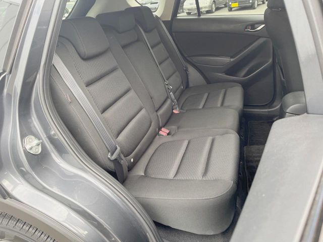 �㕔���Ȃ��C�ɂȂ�悤�ȃL�Y�E�����ւ��蓙�A�傫�ȃ_���[�W�͂Ȃ��A�ǍD�ȏ�Ԃł��B