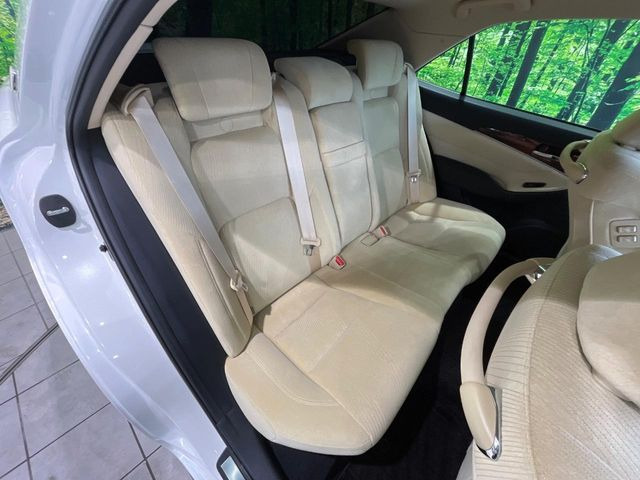 �㕔���Ȃ��C�ɂȂ�悤�ȃL�Y�E�����ւ��蓙�A�傫�ȃ_���[�W�͂Ȃ��A�ǍD�ȏ�Ԃł��B