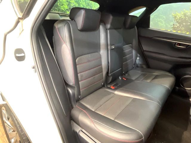 �㕔���Ȃ��C�ɂȂ�悤�ȃL�Y�E�����ւ��蓙�A�傫�ȃ_���[�W�͂Ȃ��A�ǍD�ȏ�Ԃł��B