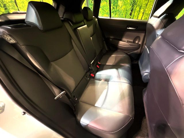 �㕔���Ȃ��C�ɂȂ�悤�ȃL�Y�E�����ւ��蓙�A�傫�ȃ_���[�W�͂Ȃ��A�ǍD�ȏ�Ԃł��B