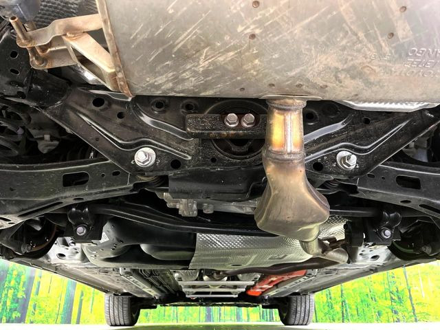 ����肪���ꂢ�Ȃ����ɁA�h�K���H�̎{�H���I�X�X���B�~��n��͂������A���ݕ��ɂ��Z���̕���A��Ń}�����E�E�B���^�[�X�|�[�c���������ɂ��D�]���������Ă���܂��B