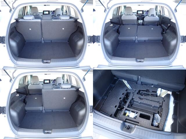 �㕔���Ȕw������͕������Ă���̂ŁA�ʁX�ɓ|�������\�ł���ו��̗ʂɉ����ăA�����W�o����̂ŁA�������ł���!