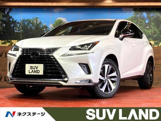 NX(レクサス) 300 スパイス&amp;シック 中古車画像