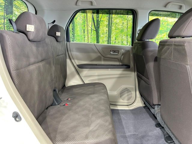 �㕔���Ȃ��C�ɂȂ�悤�ȃL�Y�E�����ւ��蓙�A�傫�ȃ_���[�W�͂Ȃ��A�ǍD�ȏ�Ԃł��B