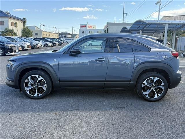 ���Ǝҗl�ւ̔̔��͂��f�肳���Ă��������܂��B �Ԍ������ԗ��̏ꍇ�́A�Ԍ����擾�������x�������z�ŕ\�����Ă���܂��B