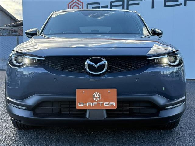 ���Ǝҗl�ւ̔̔��͂��f�肳���Ă��������܂��B �Ԍ������ԗ��̏ꍇ�́A�Ԍ����擾�������x�������z�ŕ\�����Ă���܂��B