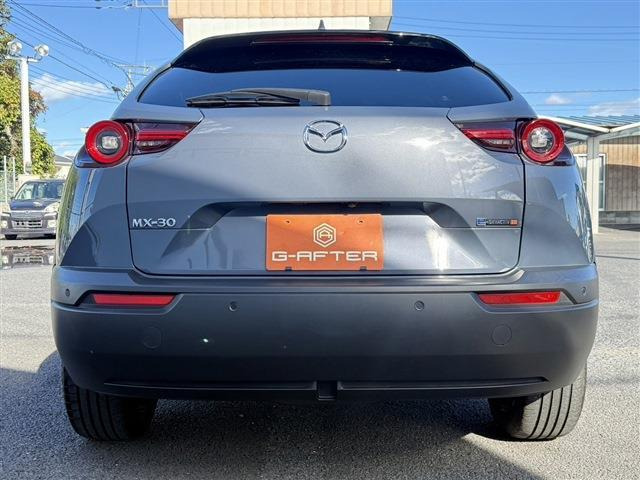 ���Ǝҗl�ւ̔̔��͂��f�肳���Ă��������܂��B �Ԍ������ԗ��̏ꍇ�́A�Ԍ����擾�������x�������z�ŕ\�����Ă���܂��B