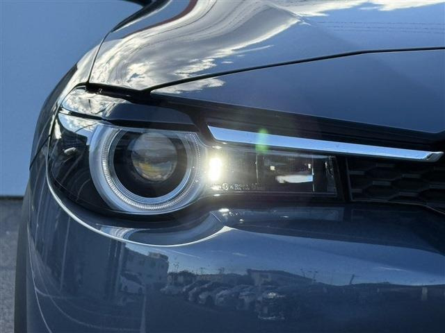 ���Ǝҗl�ւ̔̔��͂��f�肳���Ă��������܂��B �Ԍ������ԗ��̏ꍇ�́A�Ԍ����擾�������x�������z�ŕ\�����Ă���܂��B