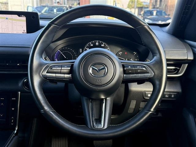 ���Ǝҗl�ւ̔̔��͂��f�肳���Ă��������܂��B �Ԍ������ԗ��̏ꍇ�́A�Ԍ����擾�������x�������z�ŕ\�����Ă���܂��B