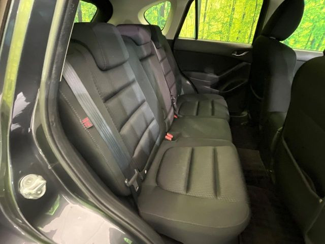 �㕔���Ȃ��C�ɂȂ�悤�ȃL�Y�E�����ւ��蓙�A�傫�ȃ_���[�W�͂Ȃ��A�ǍD�ȏ�Ԃł��B