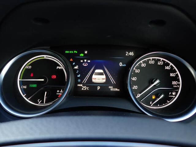 ���[�^�[�p�l�����m�肽����񂪈�ڗđR�ł��ˁB