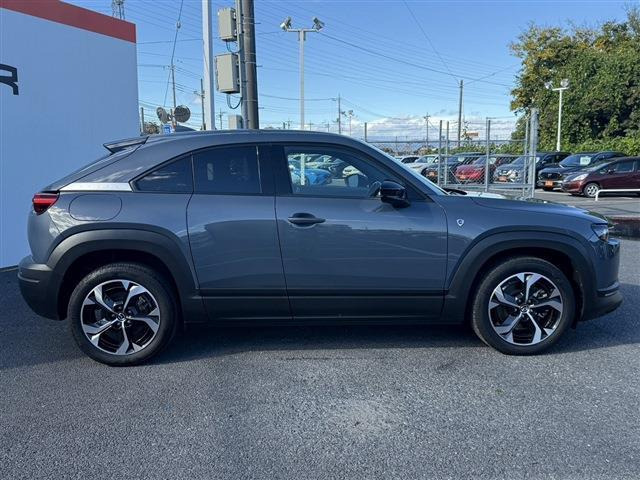 ���Ǝҗl�ւ̔̔��͂��f�肳���Ă��������܂��B �Ԍ������ԗ��̏ꍇ�́A�Ԍ����擾�������x�������z�ŕ\�����Ă���܂��B