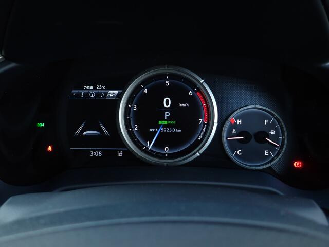 ���[�^�[�p�l�����m�肽����񂪈�ڗđR�ł��ˁB