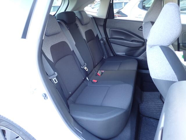 �㕔���Ȃ��傫�ȎC����Ȃ���ԗǍD�ł��B