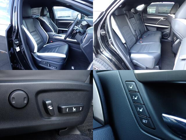 �^�]�ȁA�㕔���Ȃ��傫�ȎC����Ȃ���ԗǍD�ł��B