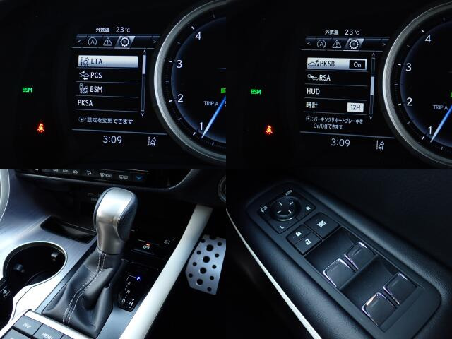 ���[�^�[�p�l�����m�肽����񂪈�ڗđR�ł��ˁB