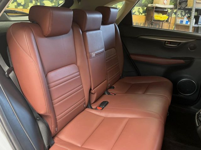 �㕔���Ȃ��C�ɂȂ�悤�ȃL�Y�E�����ւ��蓙�A�傫�ȃ_���[�W�͂Ȃ��A�ǍD�ȏ�Ԃł��B