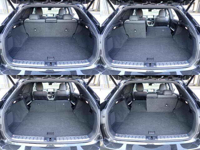 �㕔���Ȕw������͕������Ă���̂ŁA�ʁX�ɓ|�������\�ł���ו��̗ʂɉ����ăA�����W�o����̂ŁA�������ł���!