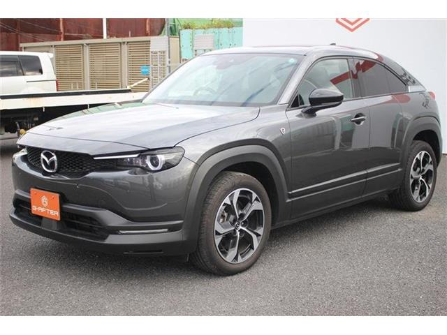 ���Ǝҗl�ւ̔̔��͂��f�肳���Ă��������܂��B �Ԍ������ԗ��̏ꍇ�́A�Ԍ����擾�������x�������z�ŕ\�����Ă���܂��B