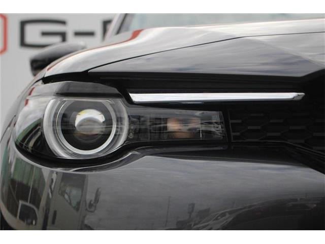 ���Ǝҗl�ւ̔̔��͂��f�肳���Ă��������܂��B �Ԍ������ԗ��̏ꍇ�́A�Ԍ����擾�������x�������z�ŕ\�����Ă���܂��B