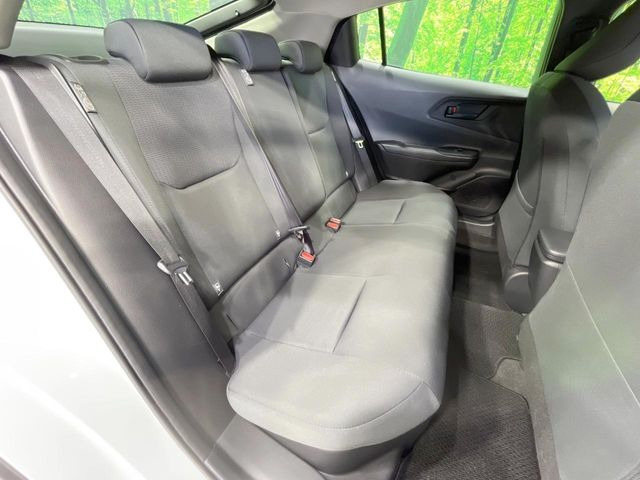 �㕔���Ȃ��C�ɂȂ�悤�ȃL�Y�E�����ւ��蓙�A�傫�ȃ_���[�W�͂Ȃ��A�ǍD�ȏ�Ԃł��B