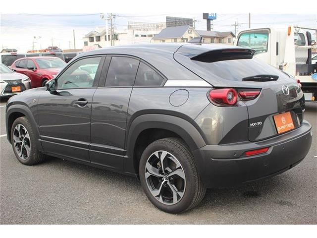 ���Ǝҗl�ւ̔̔��͂��f�肳���Ă��������܂��B �Ԍ������ԗ��̏ꍇ�́A�Ԍ����擾�������x�������z�ŕ\�����Ă���܂��B