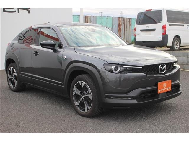 ���Ǝҗl�ւ̔̔��͂��f�肳���Ă��������܂��B �Ԍ������ԗ��̏ꍇ�́A�Ԍ����擾�������x�������z�ŕ\�����Ă���܂��B