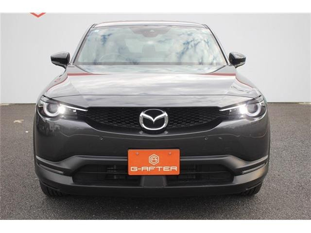 ���Ǝҗl�ւ̔̔��͂��f�肳���Ă��������܂��B �Ԍ������ԗ��̏ꍇ�́A�Ԍ����擾�������x�������z�ŕ\�����Ă���܂��B