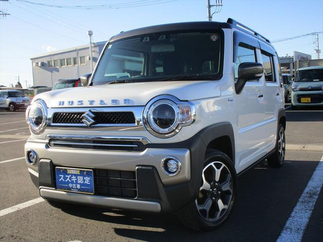 ハスラータフワイルド