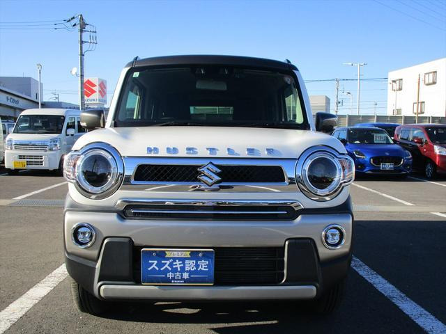 ハスラータフワイルド