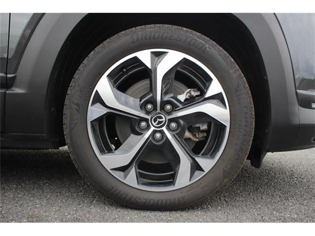 ���Ǝҗl�ւ̔̔��͂��f�肳���Ă��������܂��B �Ԍ������ԗ��̏ꍇ�́A�Ԍ����擾�������x�������z�ŕ\�����Ă���܂��B