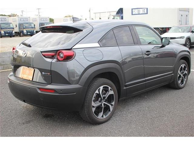 ���Ǝҗl�ւ̔̔��͂��f�肳���Ă��������܂��B �Ԍ������ԗ��̏ꍇ�́A�Ԍ����擾�������x�������z�ŕ\�����Ă���܂��B