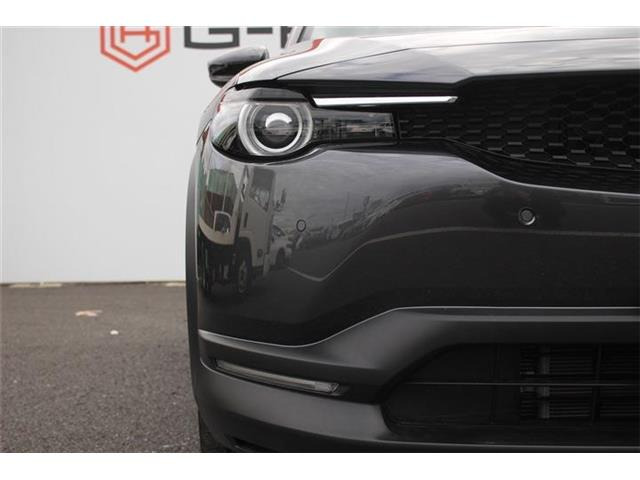 ���Ǝҗl�ւ̔̔��͂��f�肳���Ă��������܂��B �Ԍ������ԗ��̏ꍇ�́A�Ԍ����擾�������x�������z�ŕ\�����Ă���܂��B