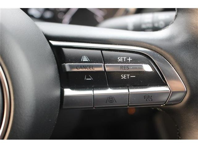 ���Ǝҗl�ւ̔̔��͂��f�肳���Ă��������܂��B �Ԍ������ԗ��̏ꍇ�́A�Ԍ����擾�������x�������z�ŕ\�����Ă���܂��B