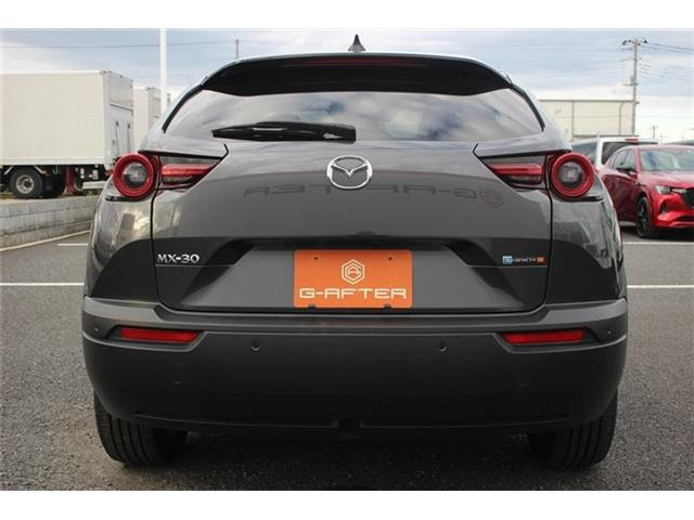 ���Ǝҗl�ւ̔̔��͂��f�肳���Ă��������܂��B �Ԍ������ԗ��̏ꍇ�́A�Ԍ����擾�������x�������z�ŕ\�����Ă���܂��B