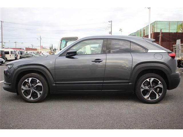 ���Ǝҗl�ւ̔̔��͂��f�肳���Ă��������܂��B �Ԍ������ԗ��̏ꍇ�́A�Ԍ����擾�������x�������z�ŕ\�����Ă���܂��B