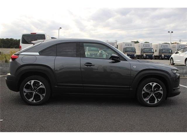 ���Ǝҗl�ւ̔̔��͂��f�肳���Ă��������܂��B �Ԍ������ԗ��̏ꍇ�́A�Ԍ����擾�������x�������z�ŕ\�����Ă���܂��B