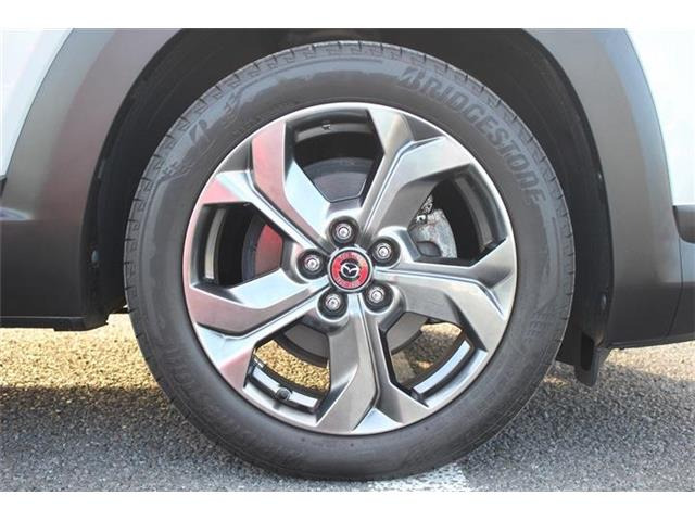 ���Ǝҗl�ւ̔̔��͂��f�肳���Ă��������܂��B�Ԍ������ԗ��̏ꍇ�́A�Ԍ����擾�������x�������z�ŕ\�����Ă���܂��B