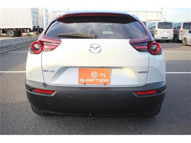 ���Ǝҗl�ւ̔̔��͂��f�肳���Ă��������܂��B�Ԍ������ԗ��̏ꍇ�́A�Ԍ����擾�������x�������z�ŕ\�����Ă���܂��B