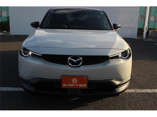 ���Ǝҗl�ւ̔̔��͂��f�肳���Ă��������܂��B�Ԍ������ԗ��̏ꍇ�́A�Ԍ����擾�������x�������z�ŕ\�����Ă���܂��B