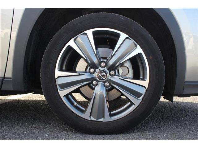 ���Ǝҗl�ւ̔̔��͂��f�肳���Ă��������܂��B �Ԍ������ԗ��̏ꍇ�́A�Ԍ����擾�������x�������z�ŕ\�����Ă���܂��B