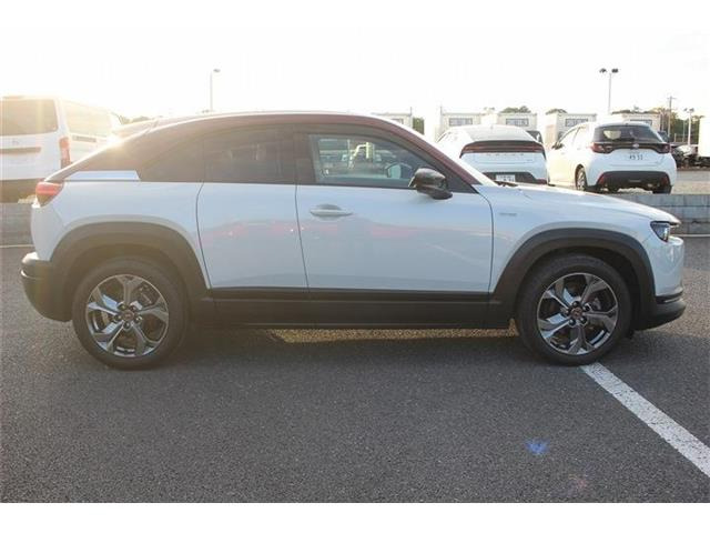 ���Ǝҗl�ւ̔̔��͂��f�肳���Ă��������܂��B�Ԍ������ԗ��̏ꍇ�́A�Ԍ����擾�������x�������z�ŕ\�����Ă���܂��B