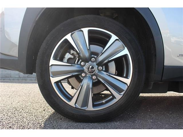 ���Ǝҗl�ւ̔̔��͂��f�肳���Ă��������܂��B �Ԍ������ԗ��̏ꍇ�́A�Ԍ����擾�������x�������z�ŕ\�����Ă���܂��B