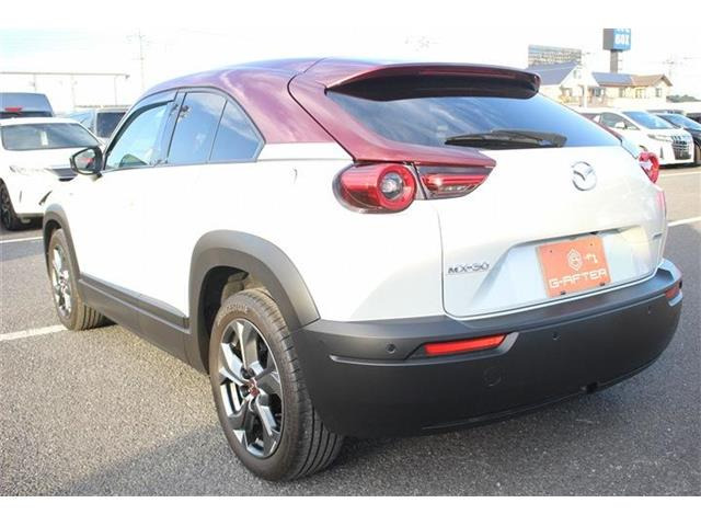 ���Ǝҗl�ւ̔̔��͂��f�肳���Ă��������܂��B�Ԍ������ԗ��̏ꍇ�́A�Ԍ����擾�������x�������z�ŕ\�����Ă���܂��B