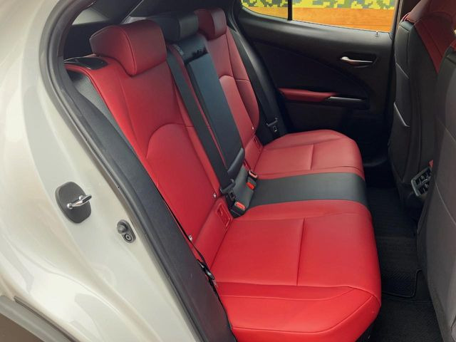 �㕔���Ȃ��C�ɂȂ�悤�ȃL�Y�E�����ւ��蓙�A�傫�ȃ_���[�W�͂Ȃ��A�ǍD�ȏ�Ԃł��B