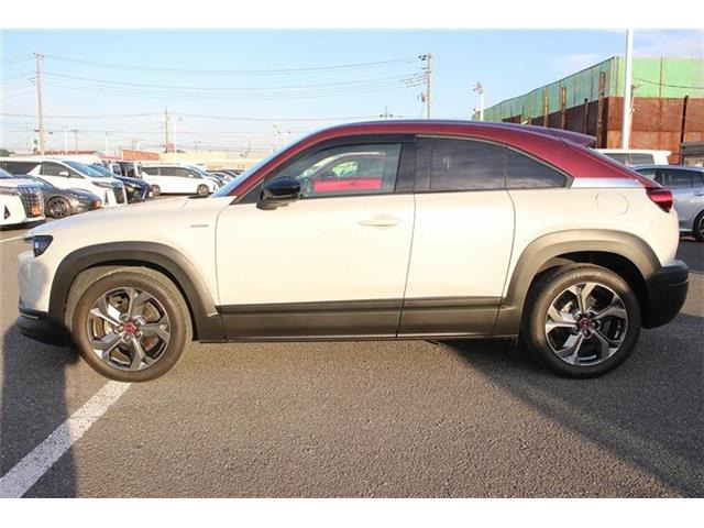 ���Ǝҗl�ւ̔̔��͂��f�肳���Ă��������܂��B�Ԍ������ԗ��̏ꍇ�́A�Ԍ����擾�������x�������z�ŕ\�����Ă���܂��B