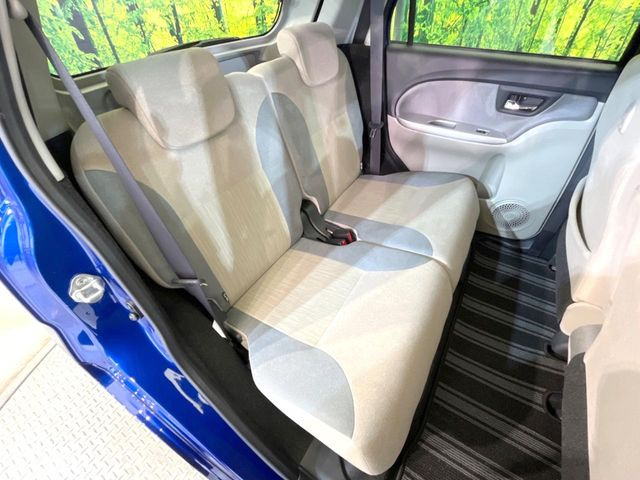 �㕔���Ȃ��C�ɂȂ�悤�ȃL�Y�E�����ւ��蓙�A�傫�ȃ_���[�W�͂Ȃ��A�ǍD�ȏ�Ԃł��B